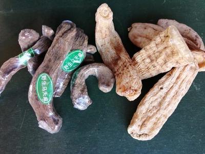 決定天麻質(zhì)量的四個(gè)核心因素