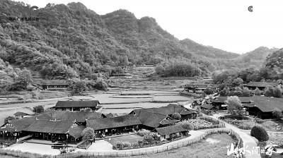 電視文藝創(chuàng)作描繪新時(shí)代"三農(nóng)"嶄新圖景